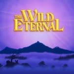 Обзор игры The Wild Eternal