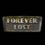 Обзор игры Forever Lost