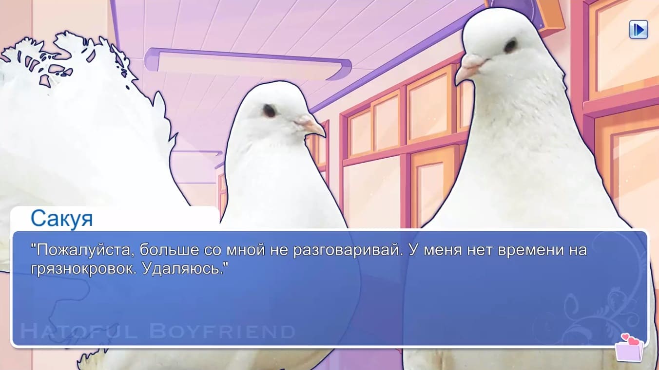 Обзор игры Hatoful Boyfriend