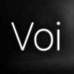 Обзор игры VOI