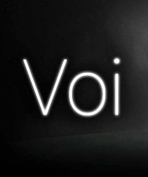 Обзор игры VOI