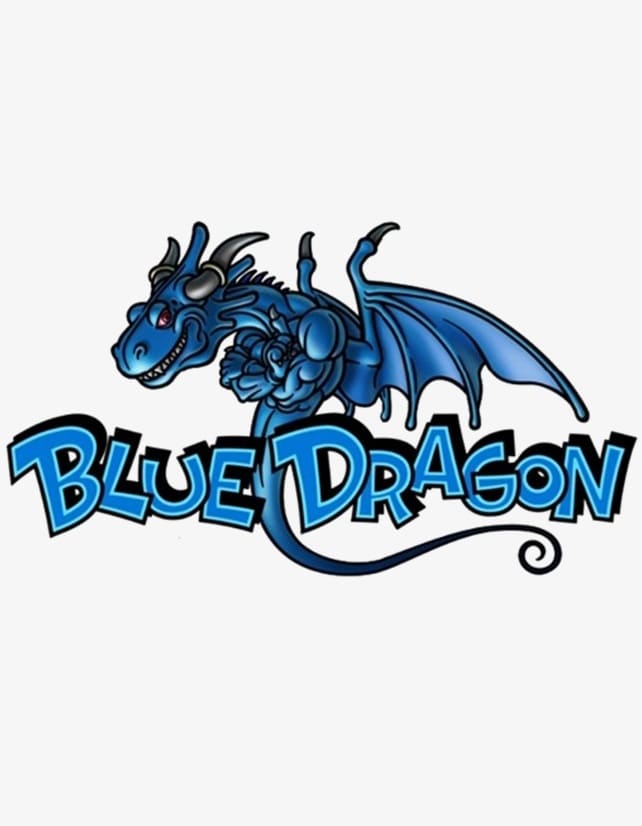 Обзор игры Blue Dragon