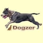 Обзор игры Dogzer