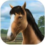 Обзор игры My Horse