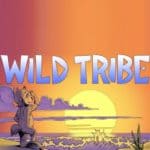 Обзор игры Wild Tribe